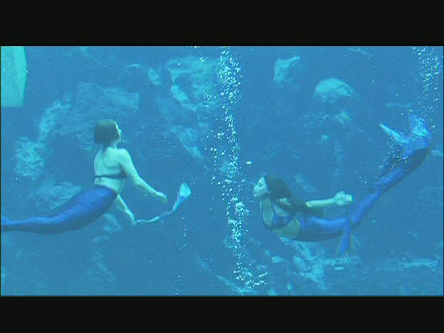 288176828 / Synchronized Swimming / Weeki Wachee / Florida / USA