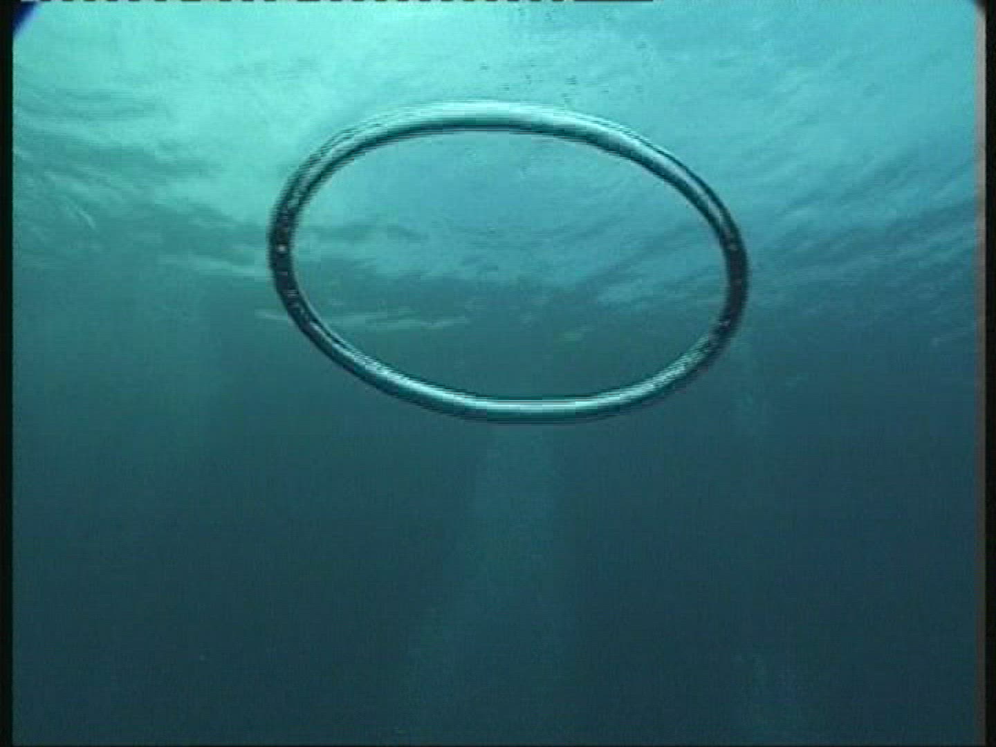 741172995 / Diving / Sea / Honduras