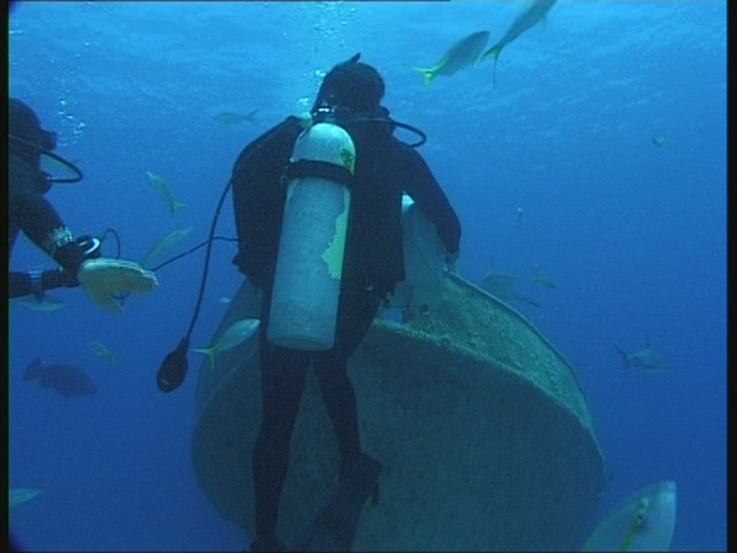 995573013 / People / Diving / Camera / The Bahamas