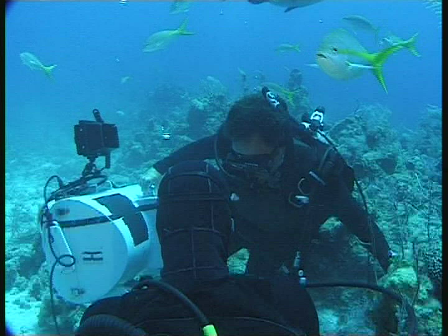 243898497 / People / Diving / Camera / The Bahamas