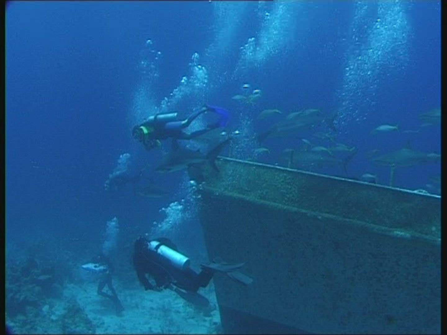 145928886 / People / Diving / Camera / The Bahamas