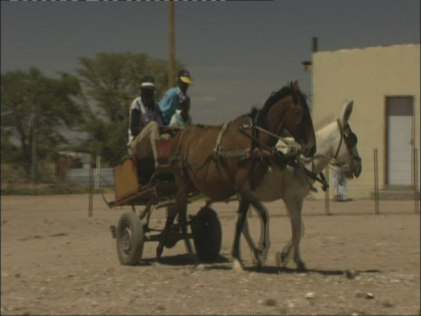 364956304 / Donkey Carriage / Kobos / Namibia