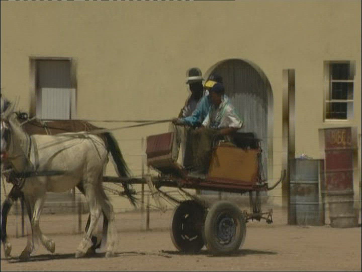 546187689 / Donkey Carriage / Kobos / Namibia