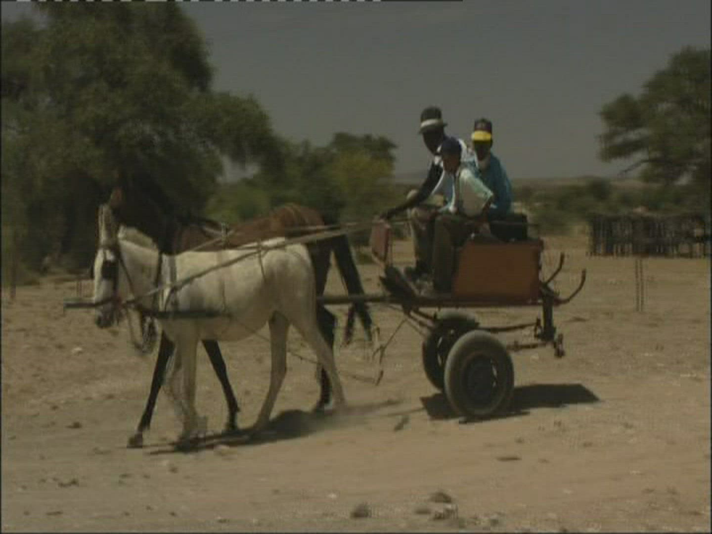234058729 / Donkey Carriage / Kobos / Namibia