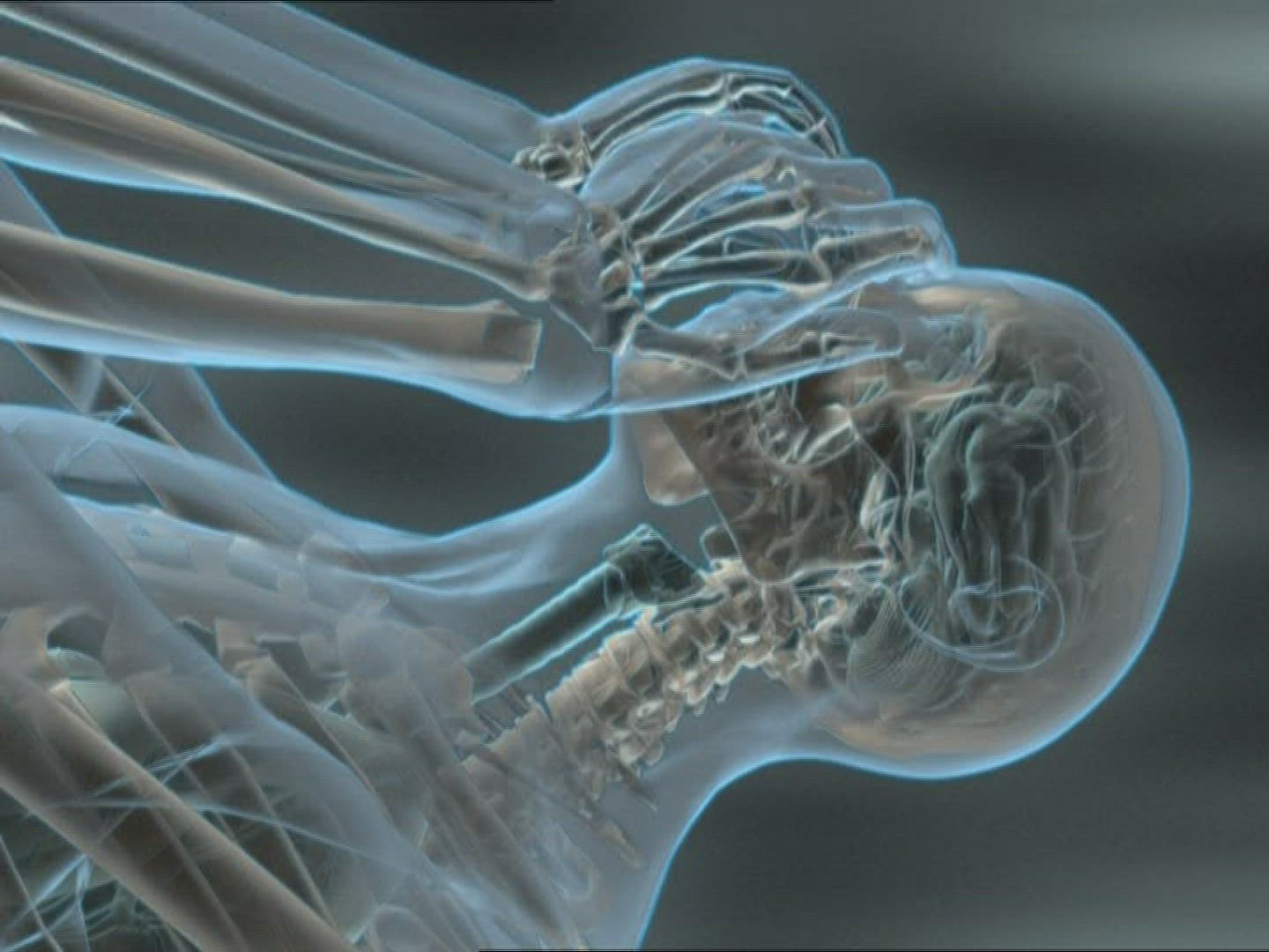 149068839 / Body / Computer Animation