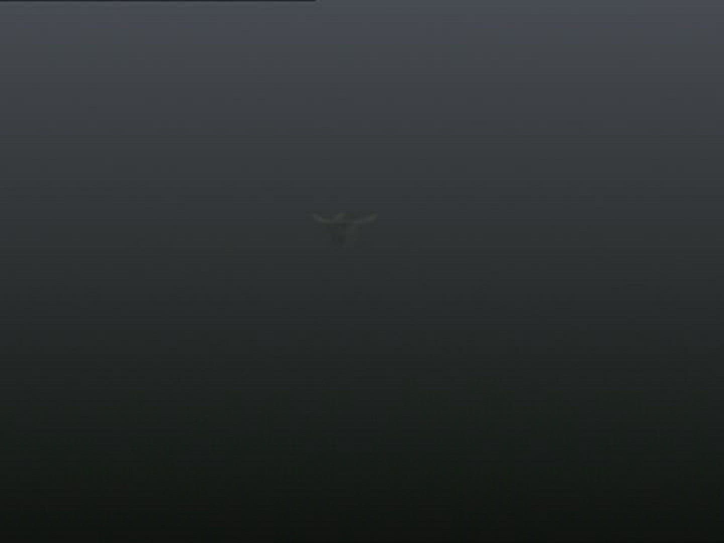 747939391 / Giant Squid / Underwater Shot / Computer Animation