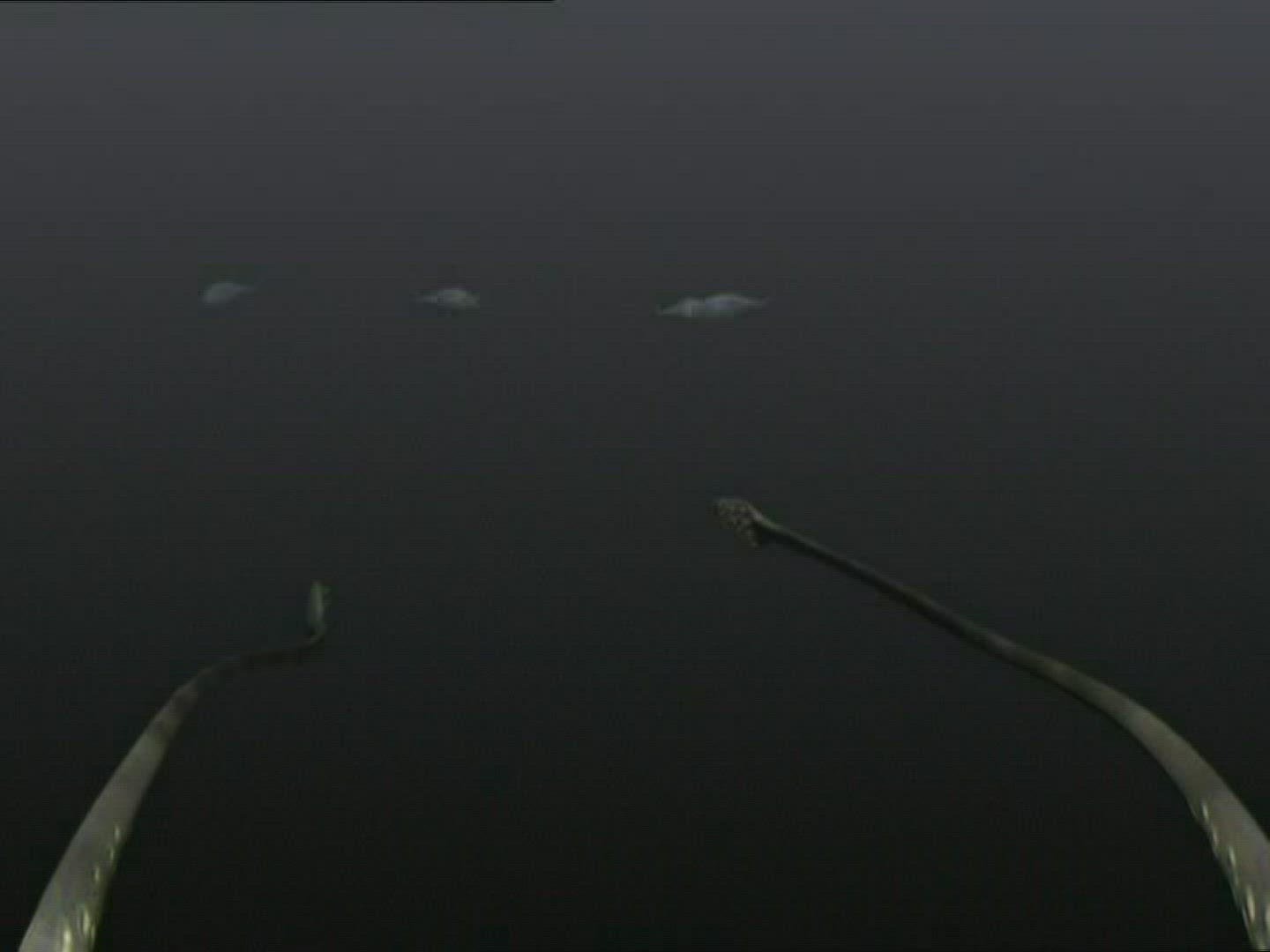 935296985 / Giant Squid / Underwater Shot / Computer Animation