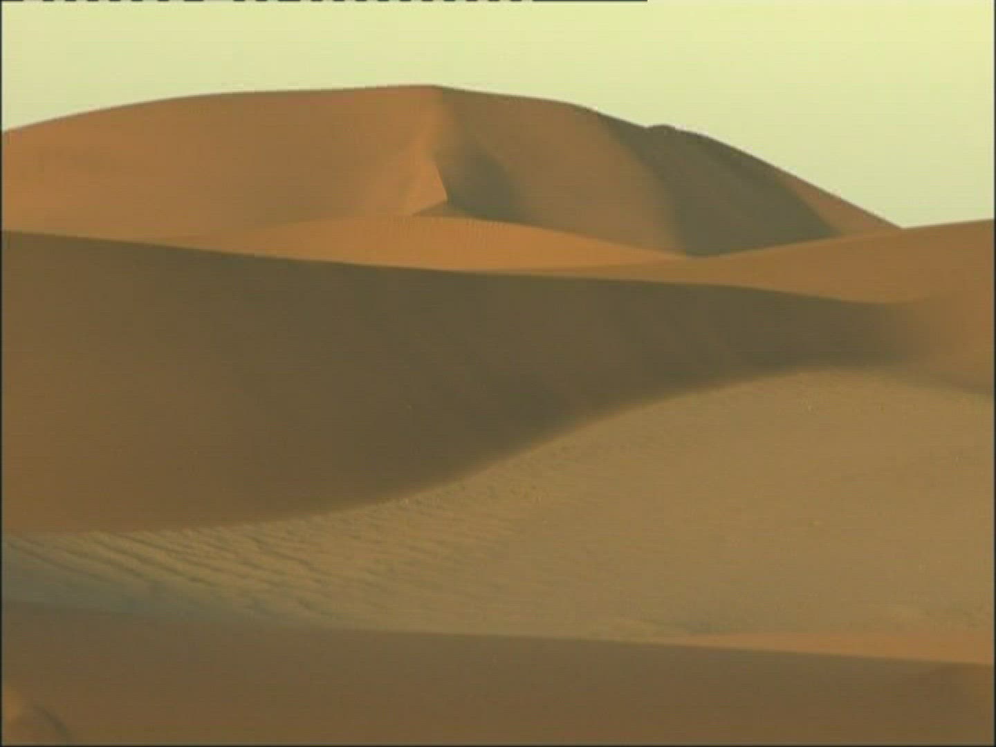 456857794 / Dune / Desert / Namibia