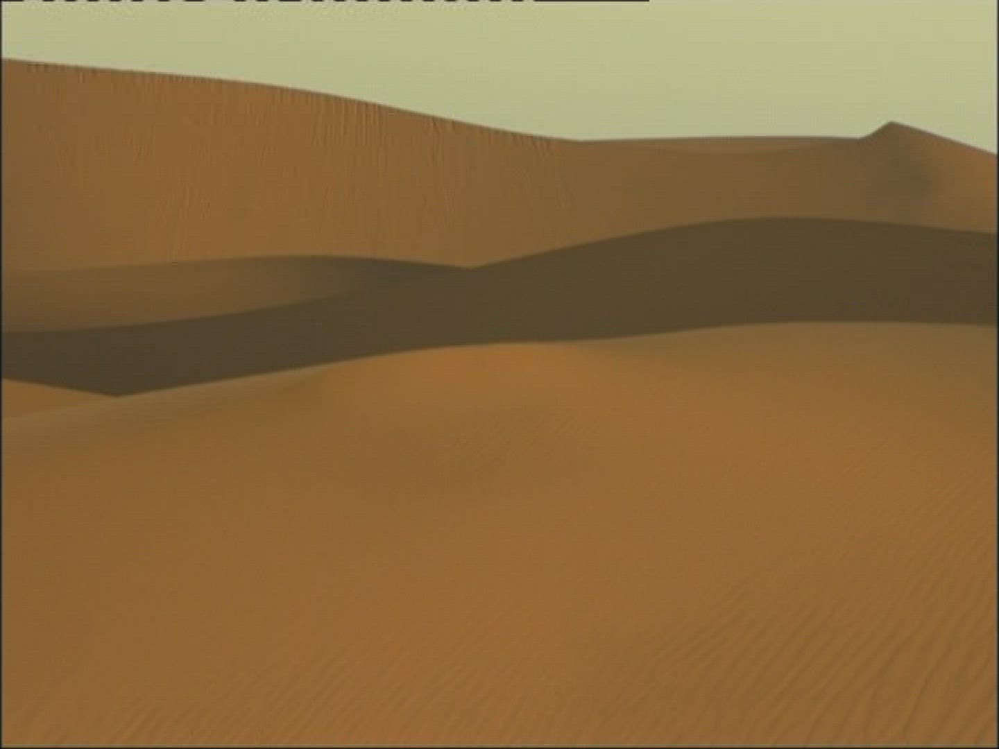 871366464 / Dune / Desert / Namibia