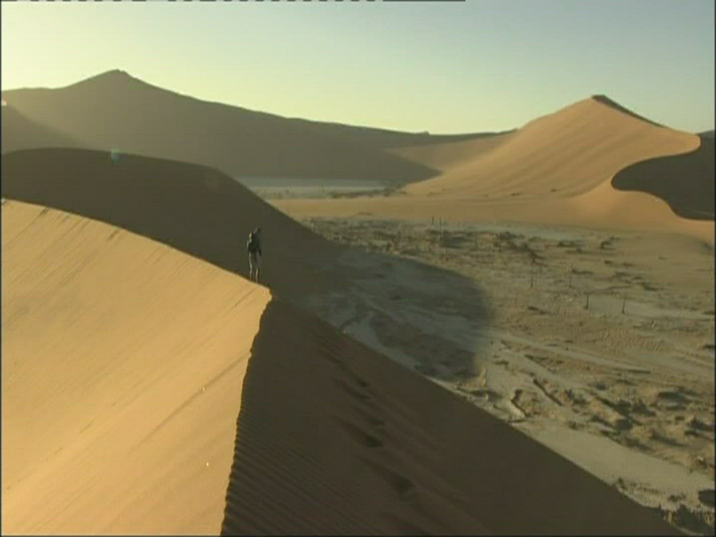 509900302 / Dune / Desert / Namibia