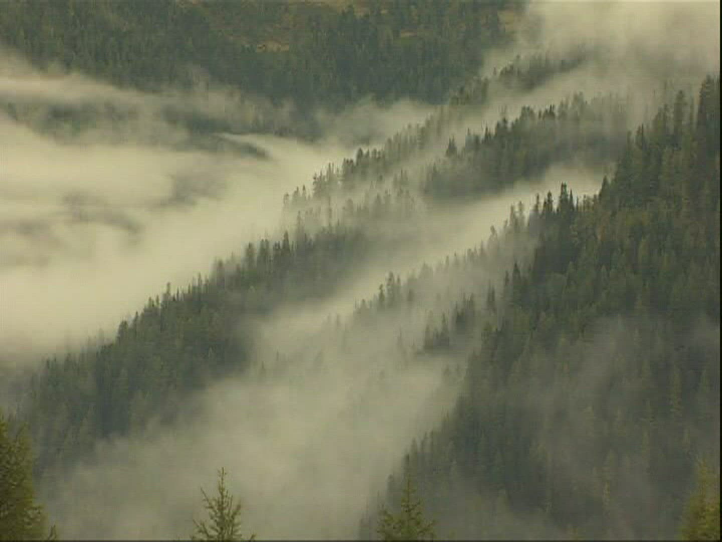 793604365 / Mountains / Gurktaler Alps / Alps / Austria