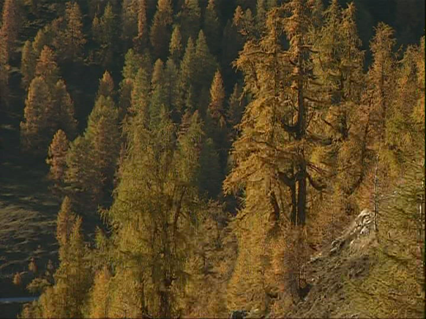 434868796 / Mountains / Gurktaler Alps / Alps / Austria