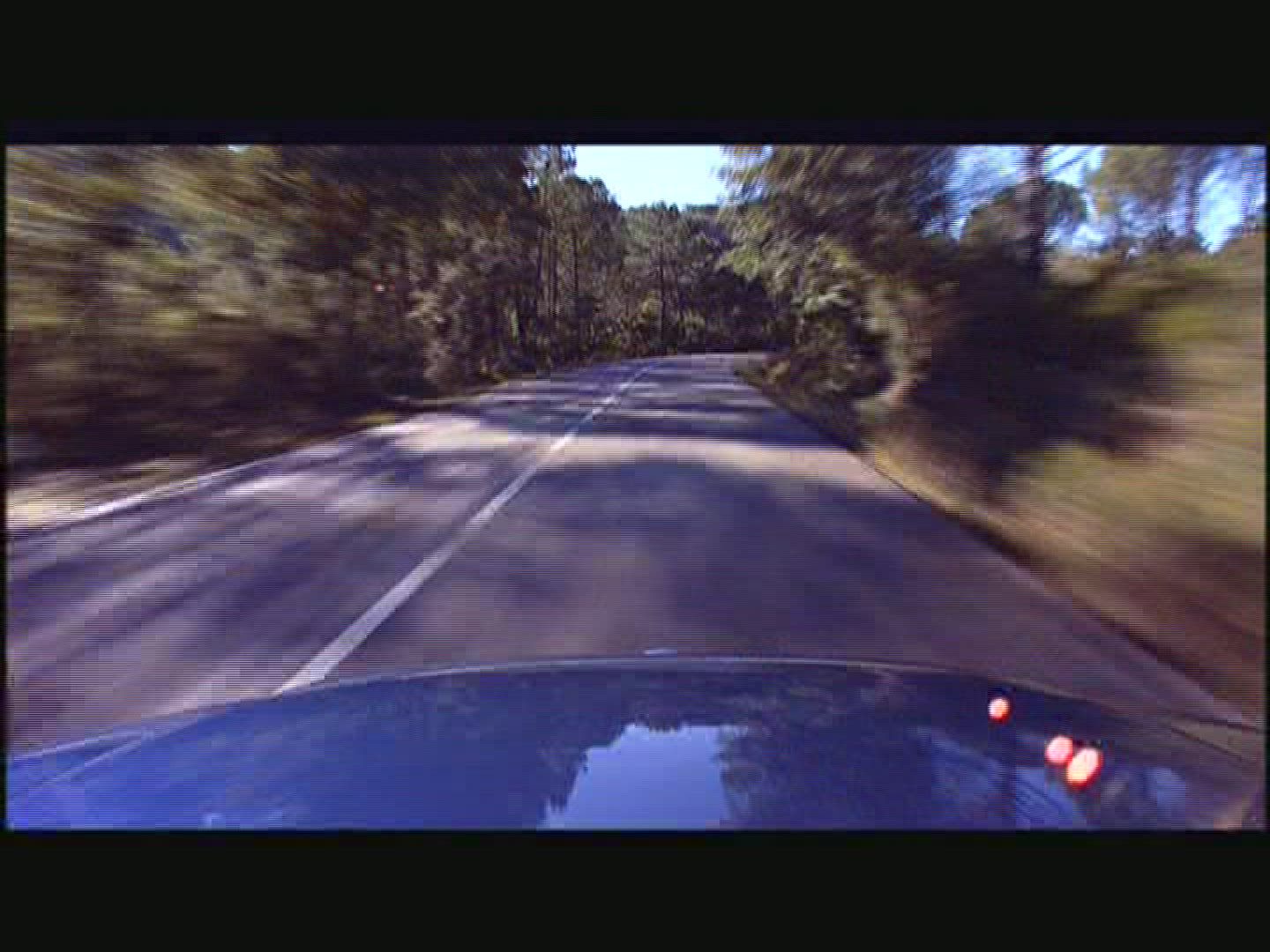 905913616 / Car Ride / Street / Mixed Forest