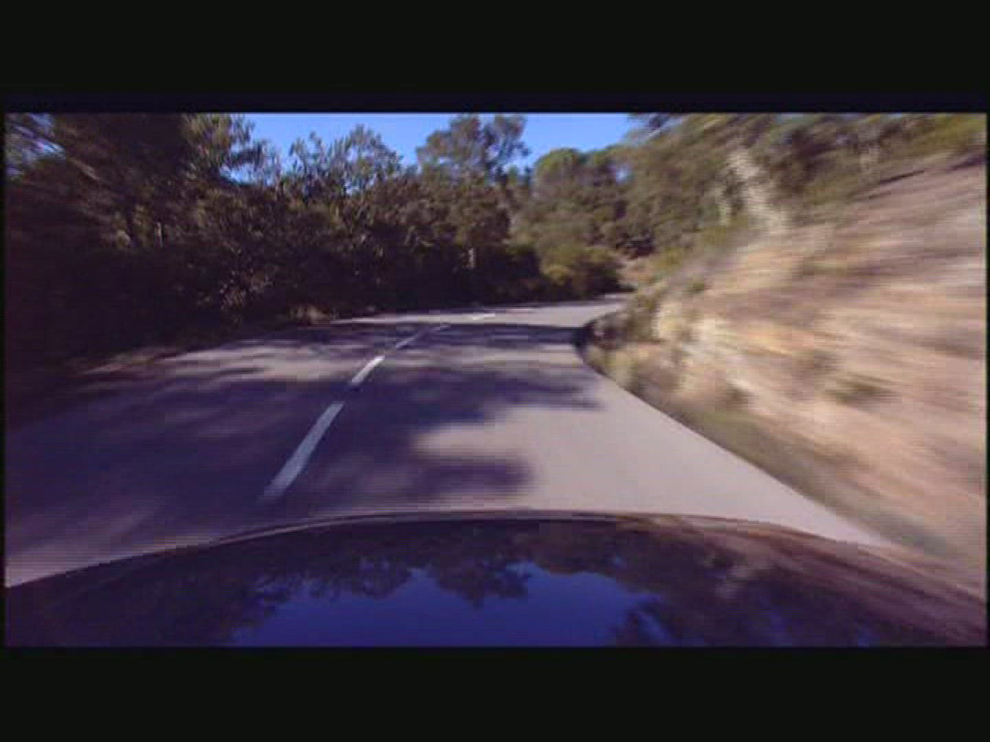 798428885 / Car Ride / Street / Mixed Forest