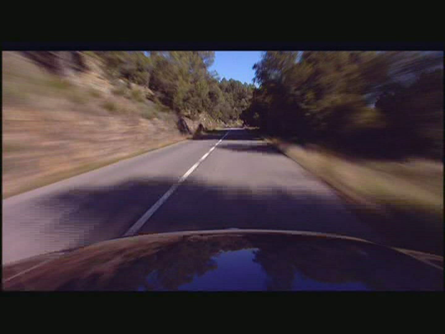440576569 / Car Ride / Street / Mixed Forest
