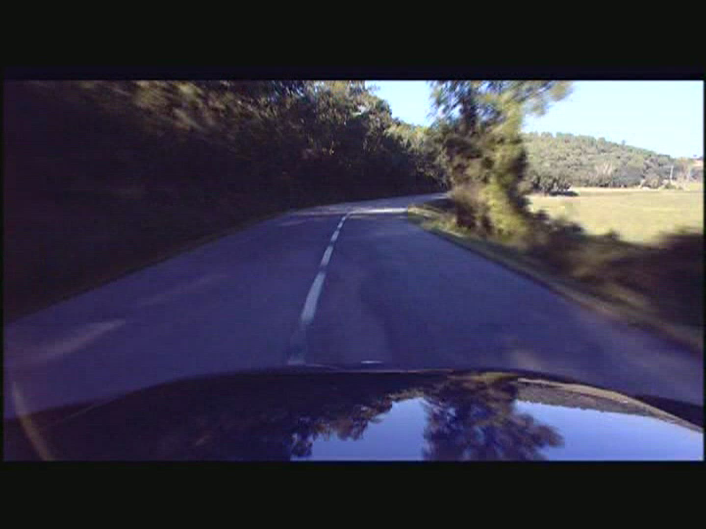 558708906 / Car Ride / Street / Mixed Forest