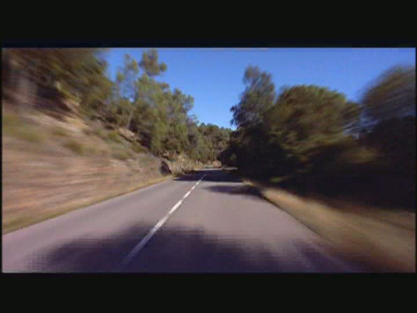 345442752 / Car Ride / Street / Mixed Forest