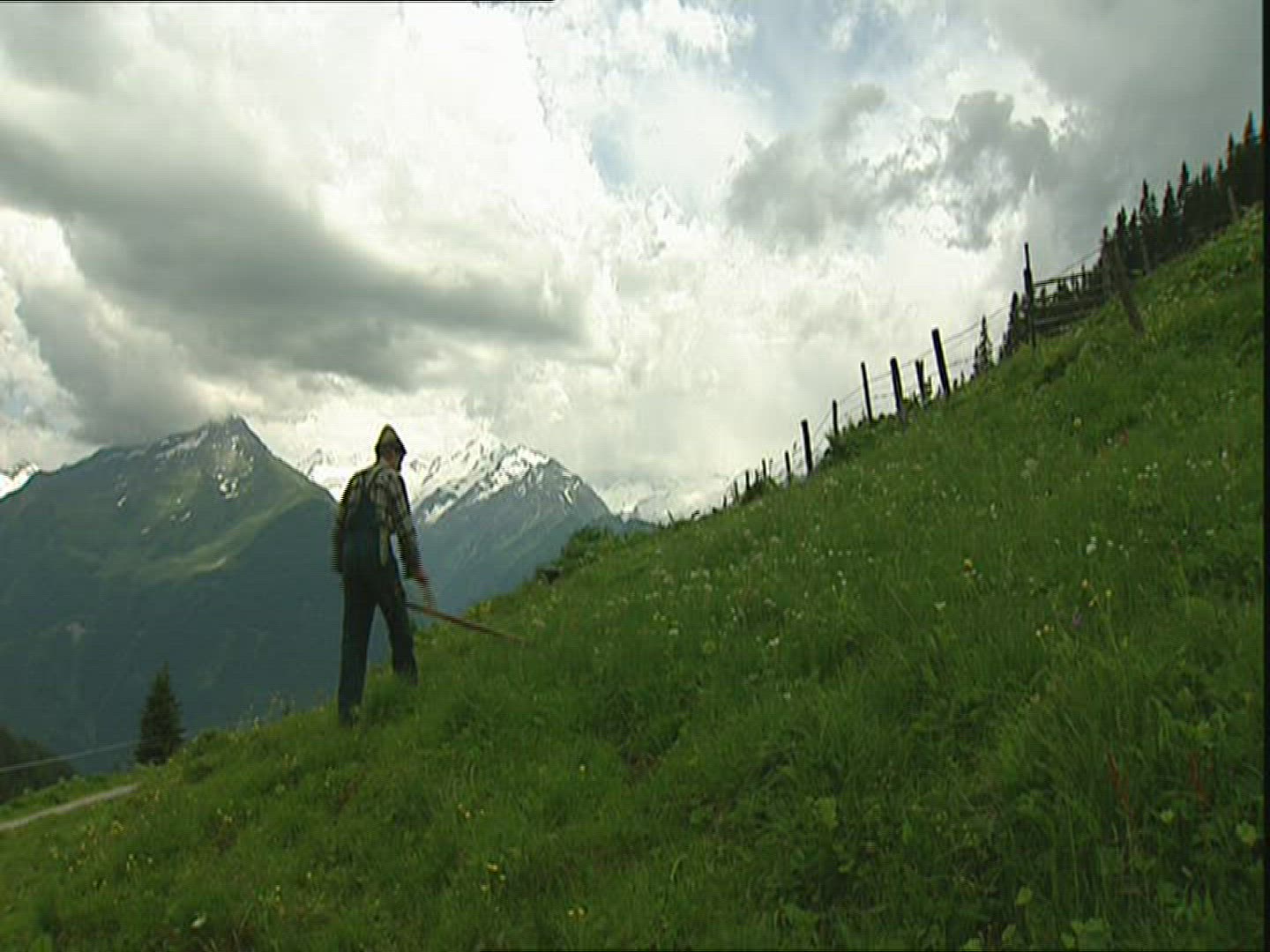 141452453 / Farmer / Mowing / Austria