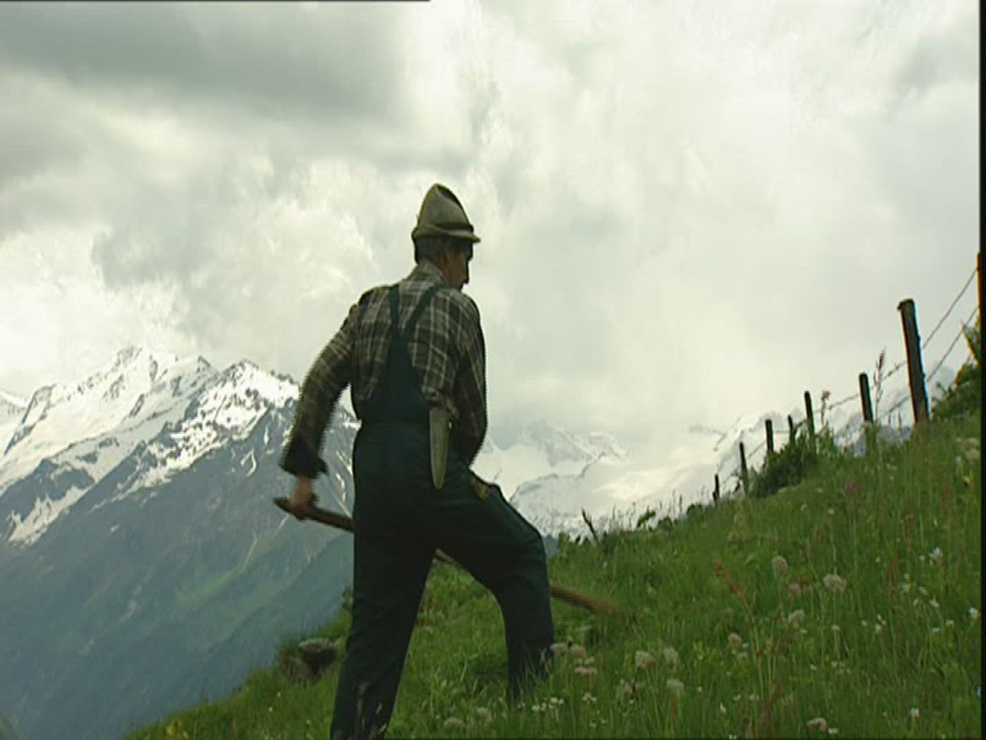 124648934 / Farmer / Mowing / Austria