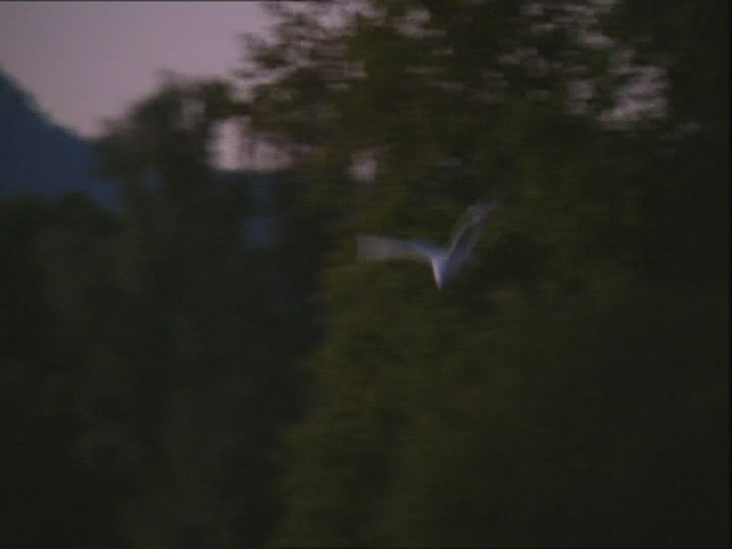 165561602 / Dawn / Chiemgau / Germany