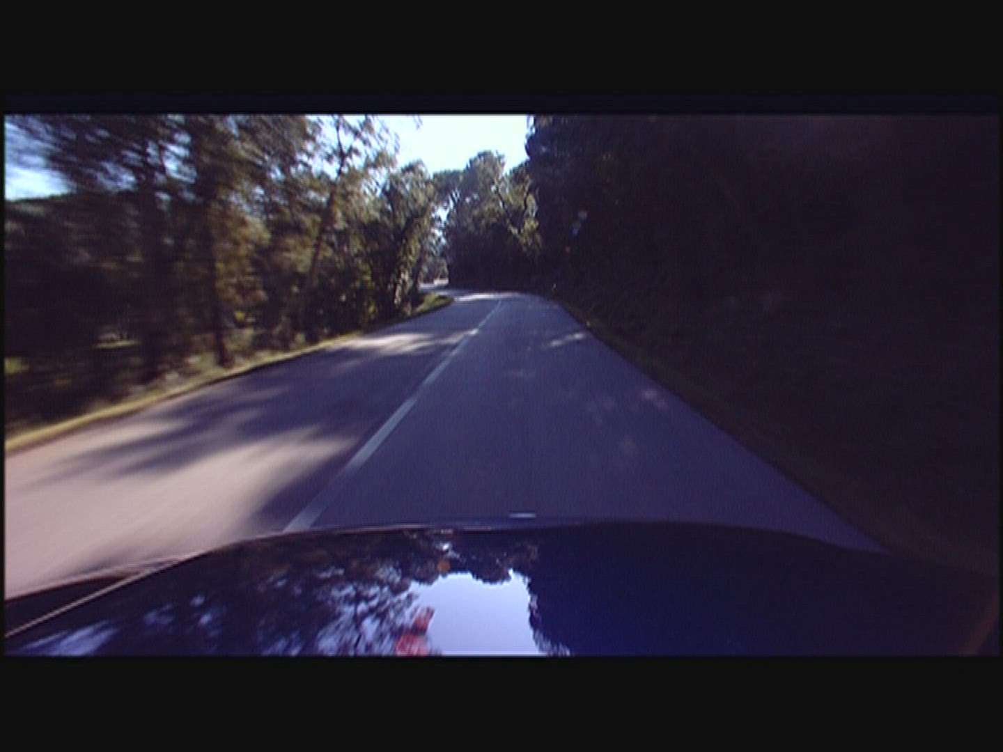 703015009 / Car Ride / Street / Mixed Forest