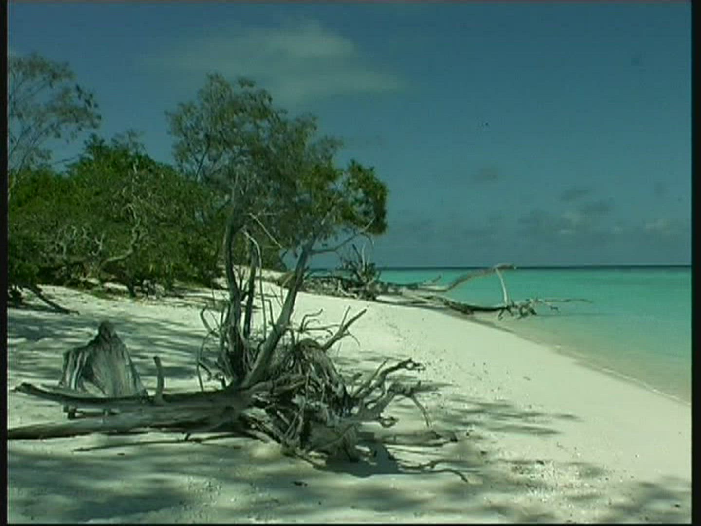 321329609 / Coral Reef / Great Barrier Reef / Australia