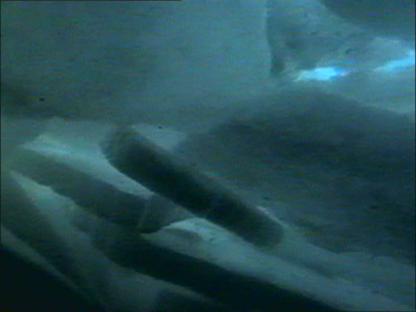 240647645 / Pack Ice / Antarctic