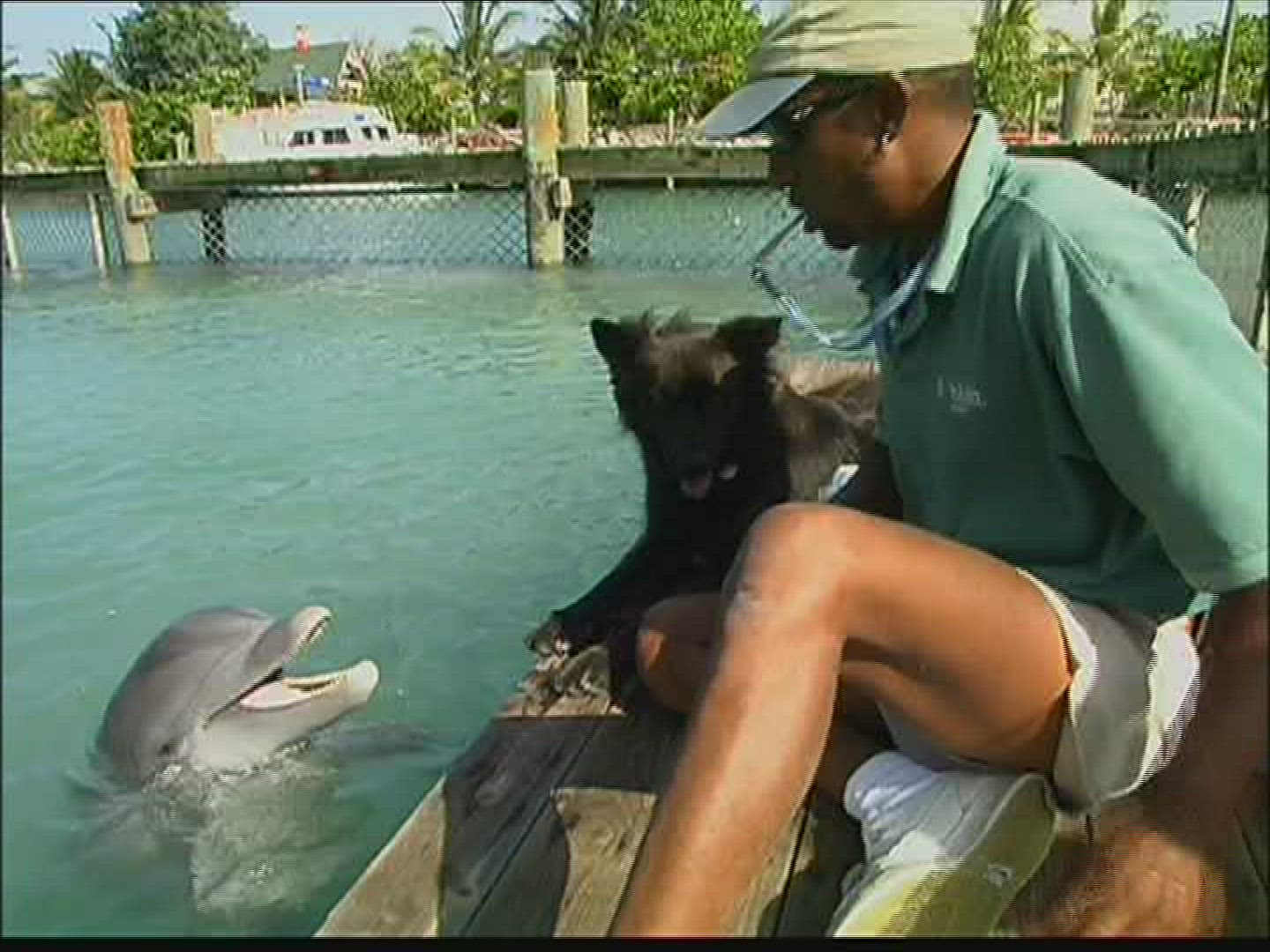 382353020 / Dolphin Station / The Bahamas
