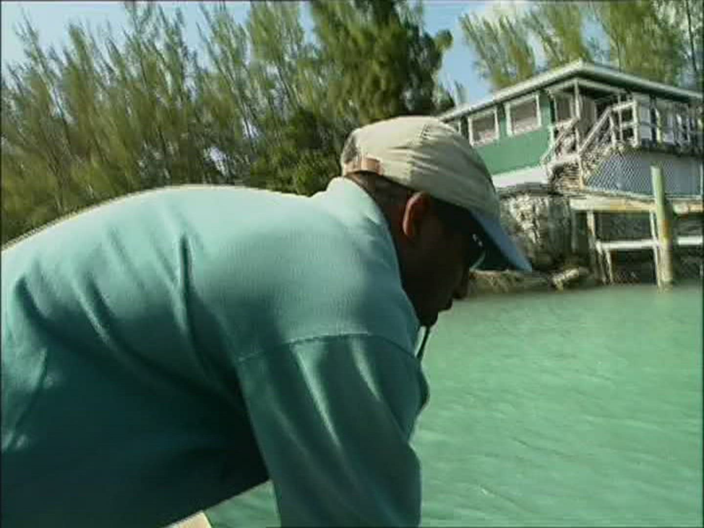 719527064 / Dolphin Station / The Bahamas