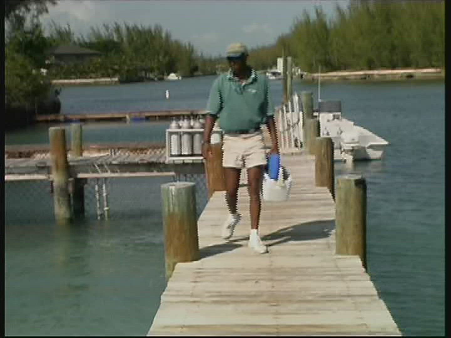 624832984 / Dolphin Station / The Bahamas