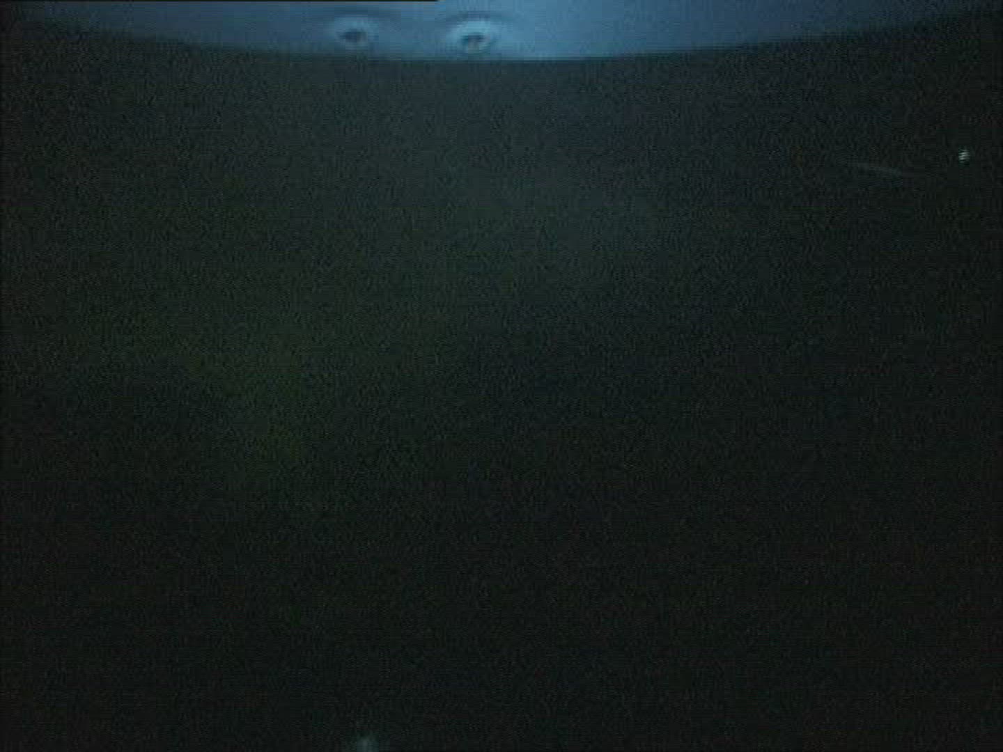 538594062 / Manta Ray / Gulf of California / Mexico