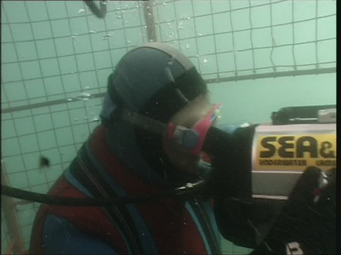 521238324 / Shark / Shark Watching / Underwater Shot / South Africa