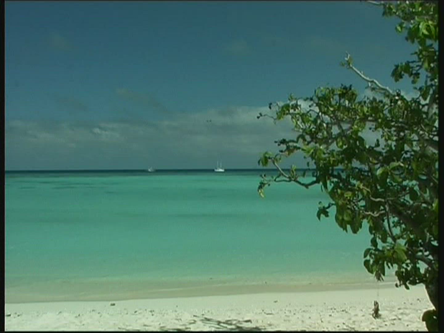 895991897 / North-West-Island / Indian Ocean / Australia