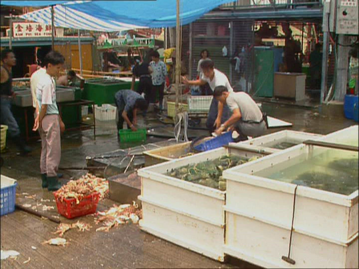 321196050 / Fish Market / Hong Kong / China