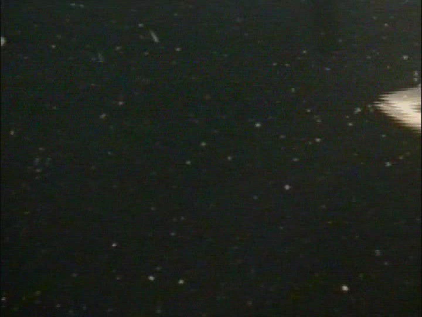 194480273 / Fish / Norwegian Sea / Atlantic Ocean