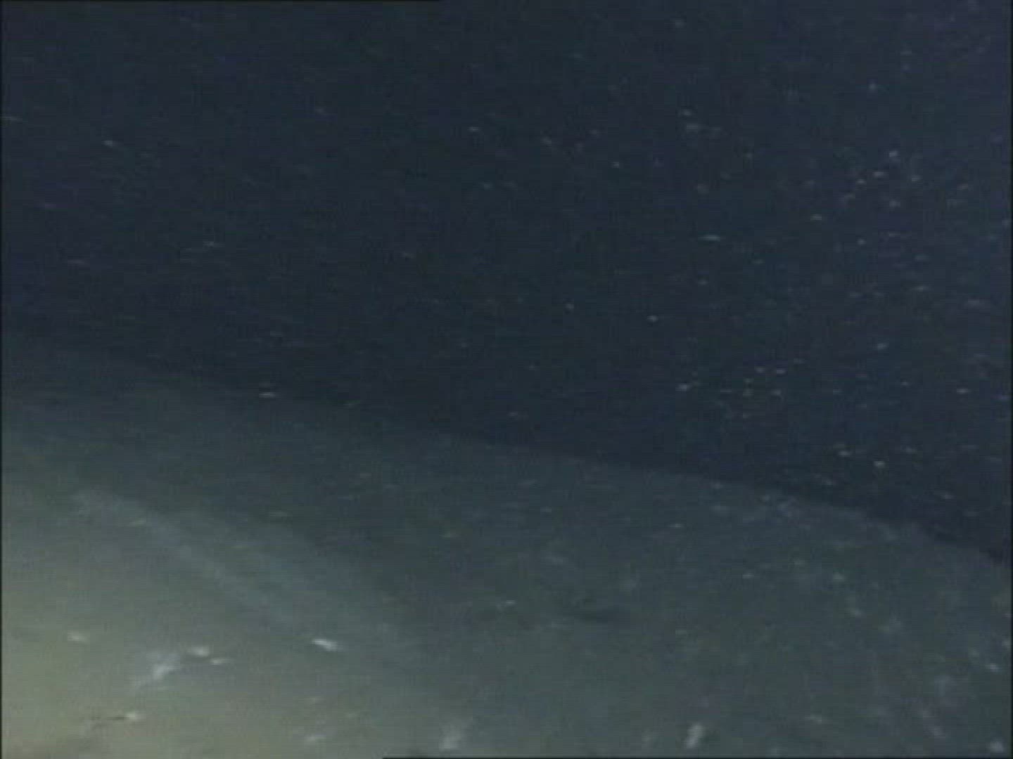 243325012 / Soft Coral / Norwegian Sea / Atlantic Ocean