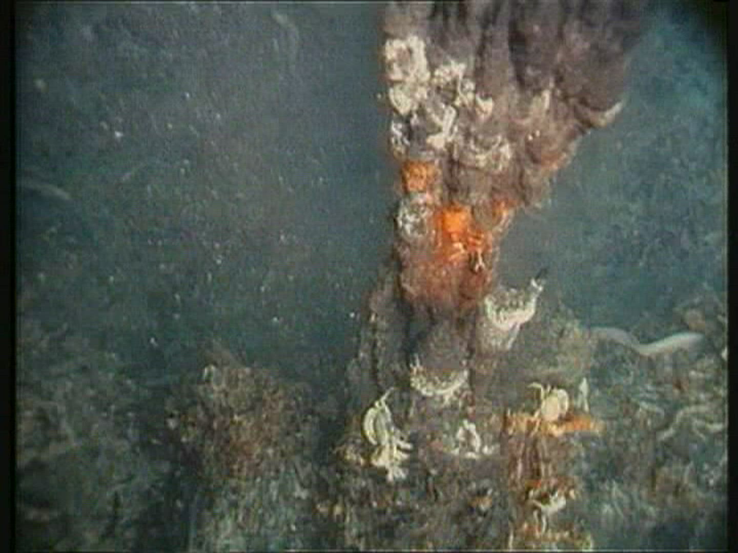 169995595 / Hot Spring / Pacific Ocean / Galápagos