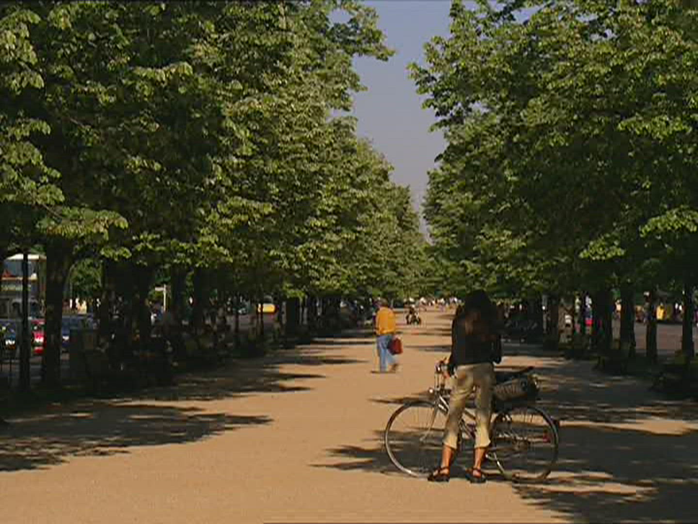 610440245 / Unter den Linden / Berlin / Germany