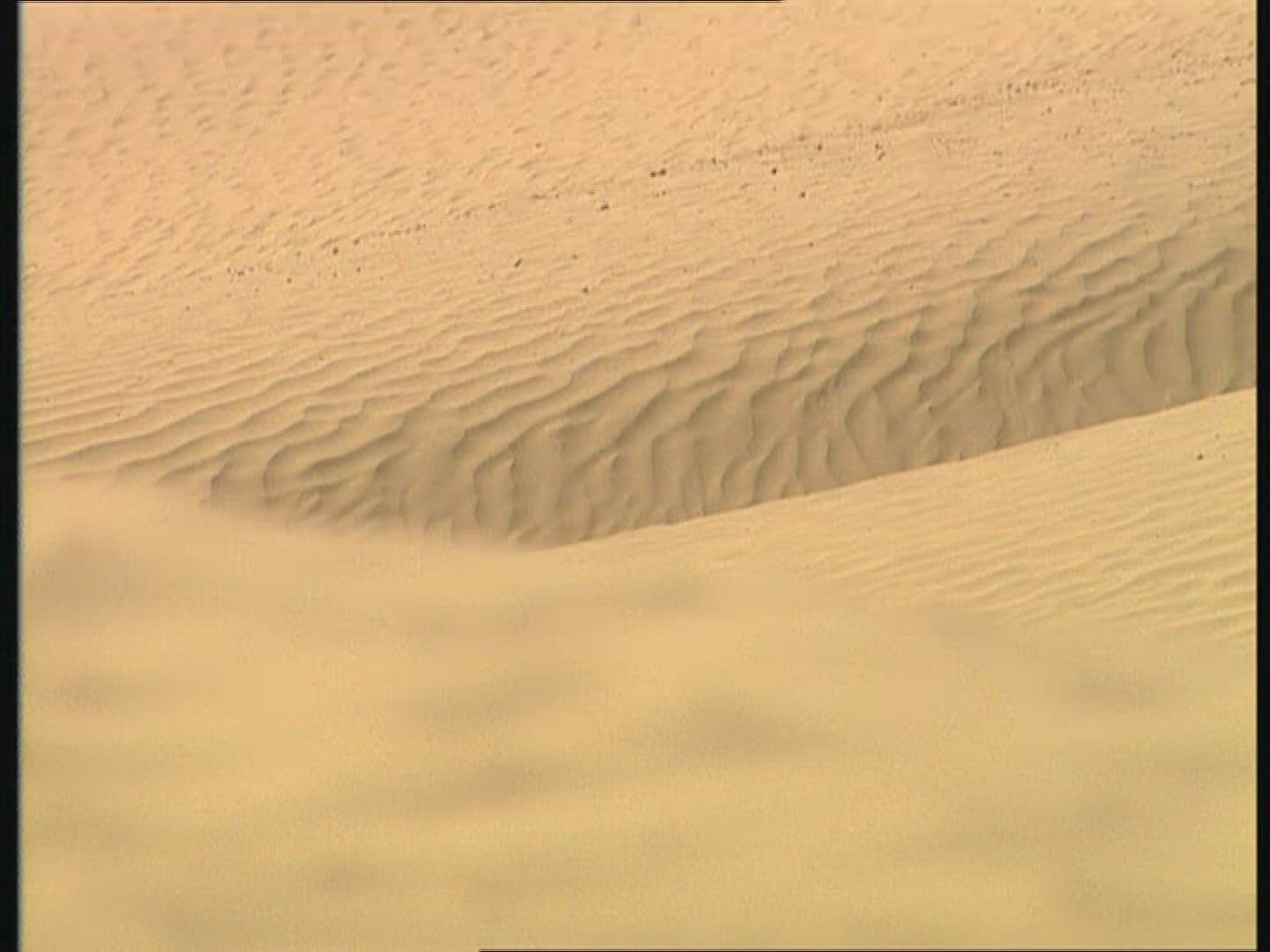 828435089 / Sandy Desert / Dune