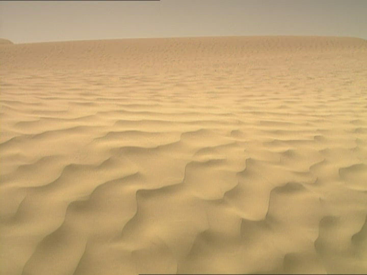 865938428 / Sandy Desert / Dune