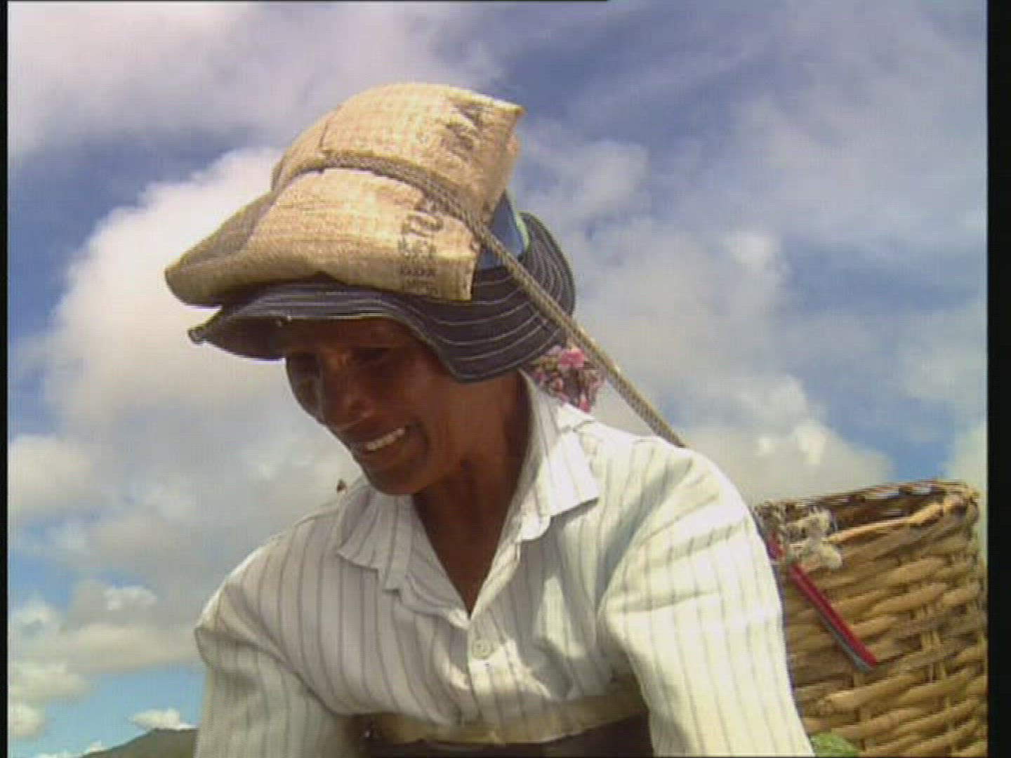 864810993 / Female Tea Picker / Cultivation of Tea / Sri Lanka