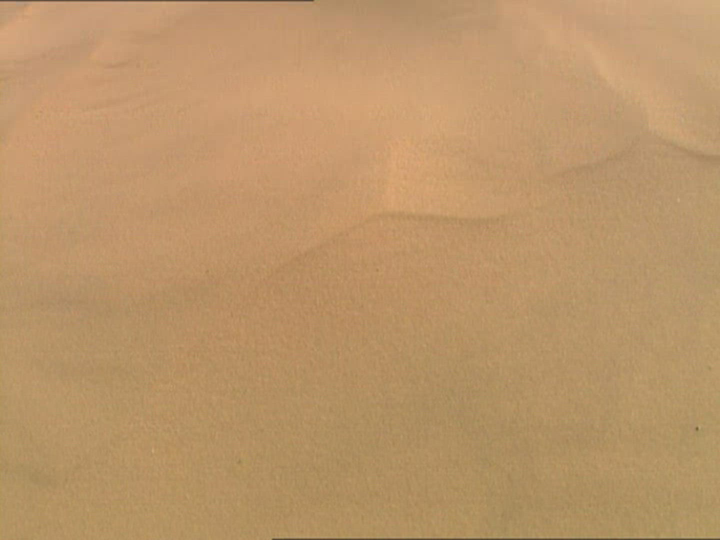 934168191 / Sandy Desert / Dune