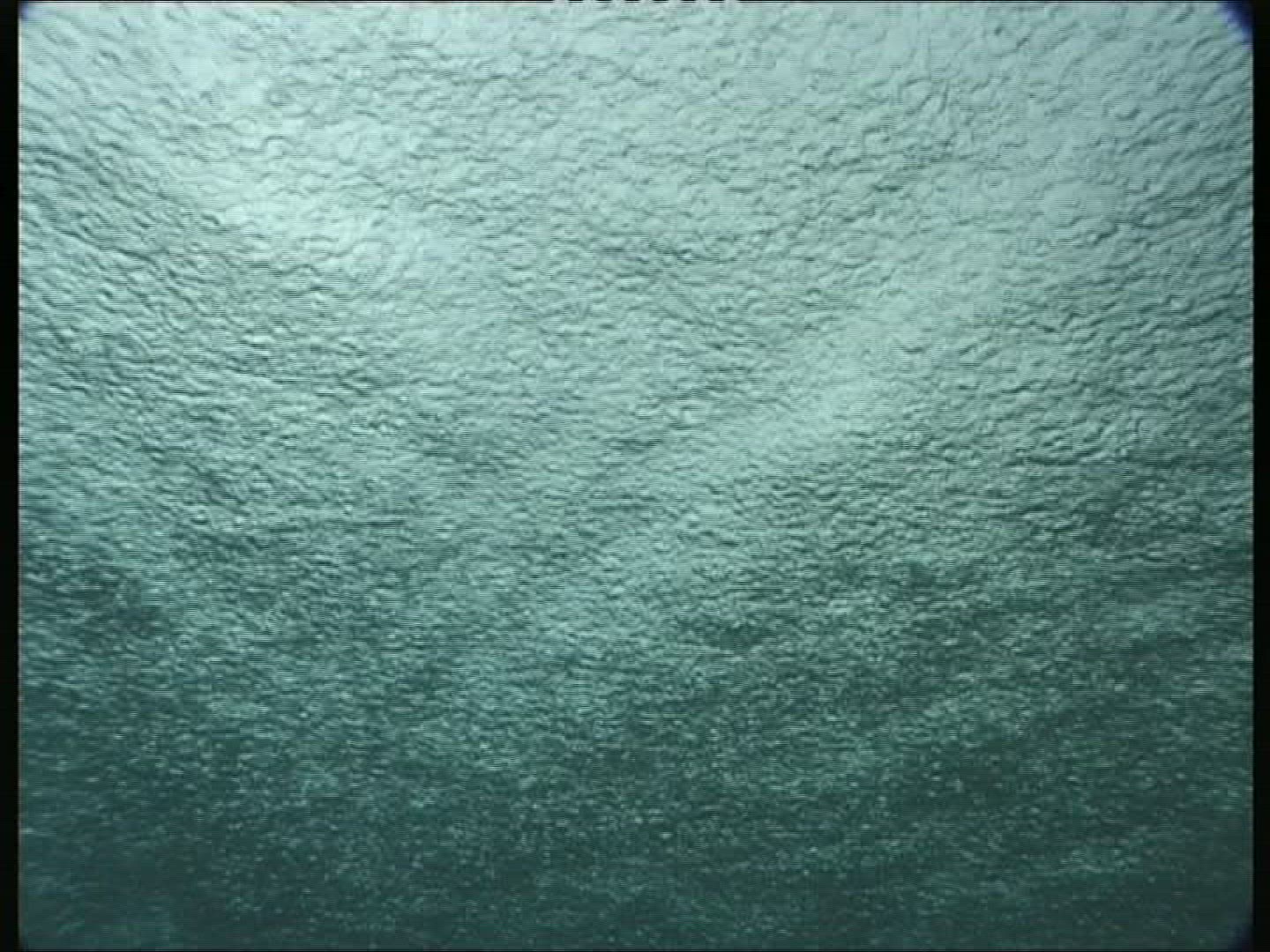 583115884 / Water Surface / Sea / Pacific Ocean