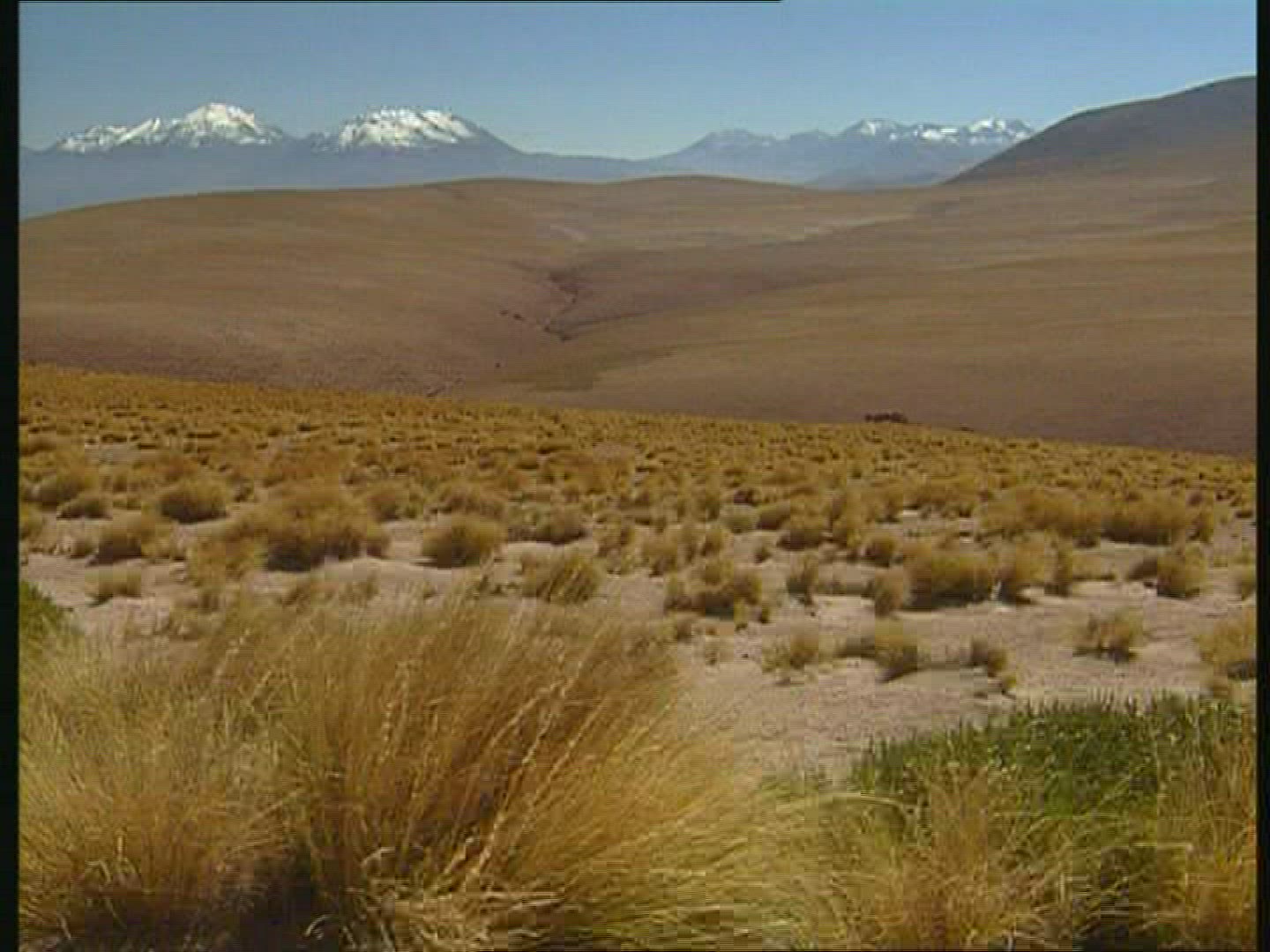 399162666 / Plateau / Andes / Chile