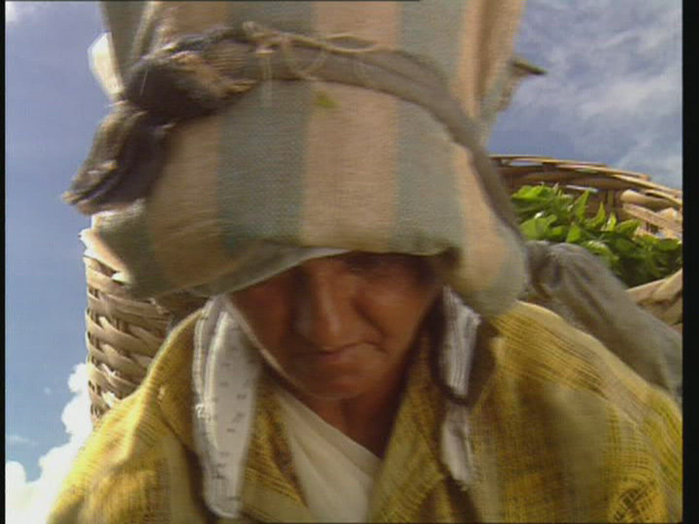 410841126 / Female Tea Picker / Cultivation of Tea / Sri Lanka