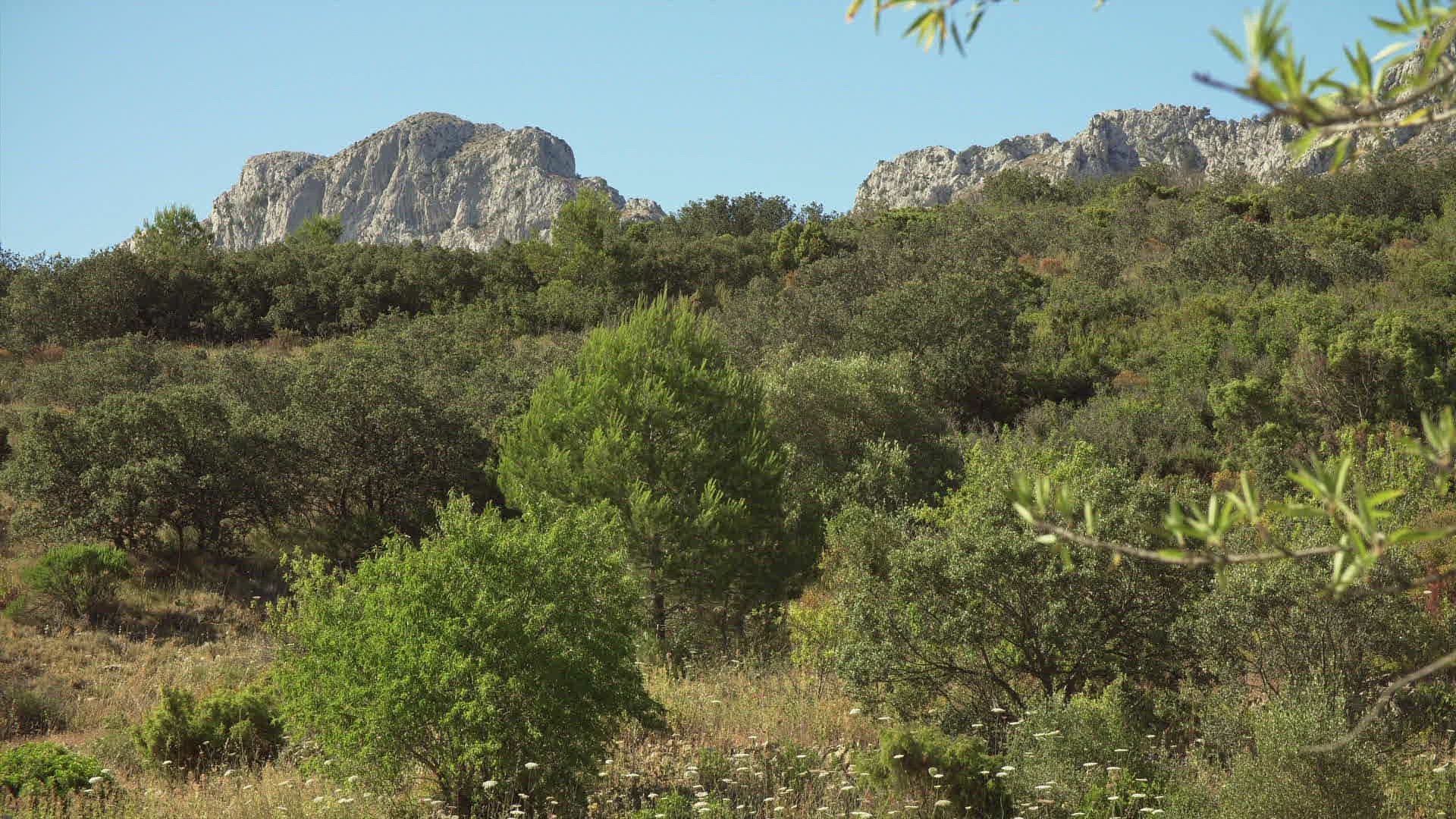 338563535 / Sierra de Bernia / Costa Blanca / Spain