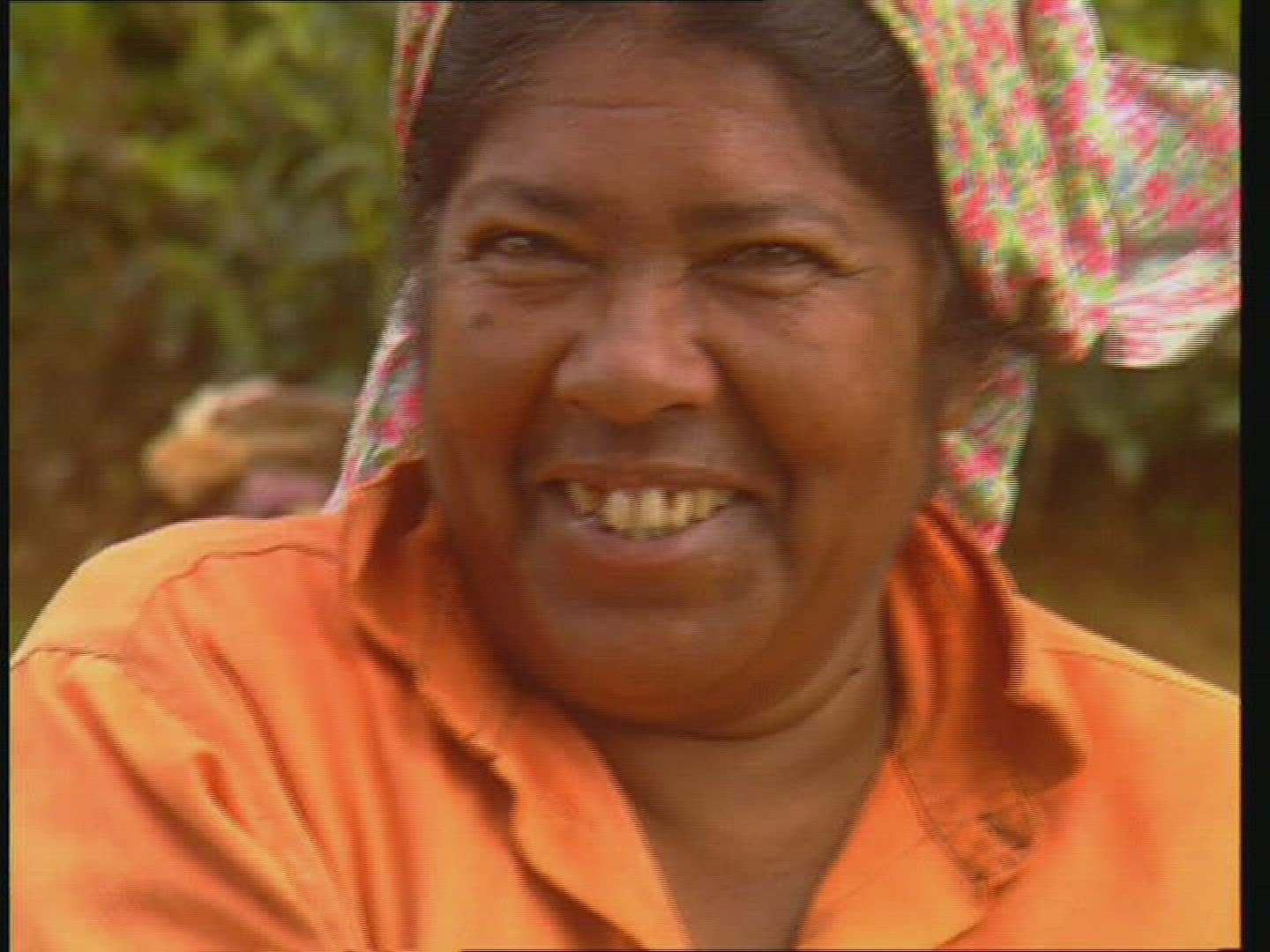 568260716 / Transport / Cultivation of Tea / Sri Lanka