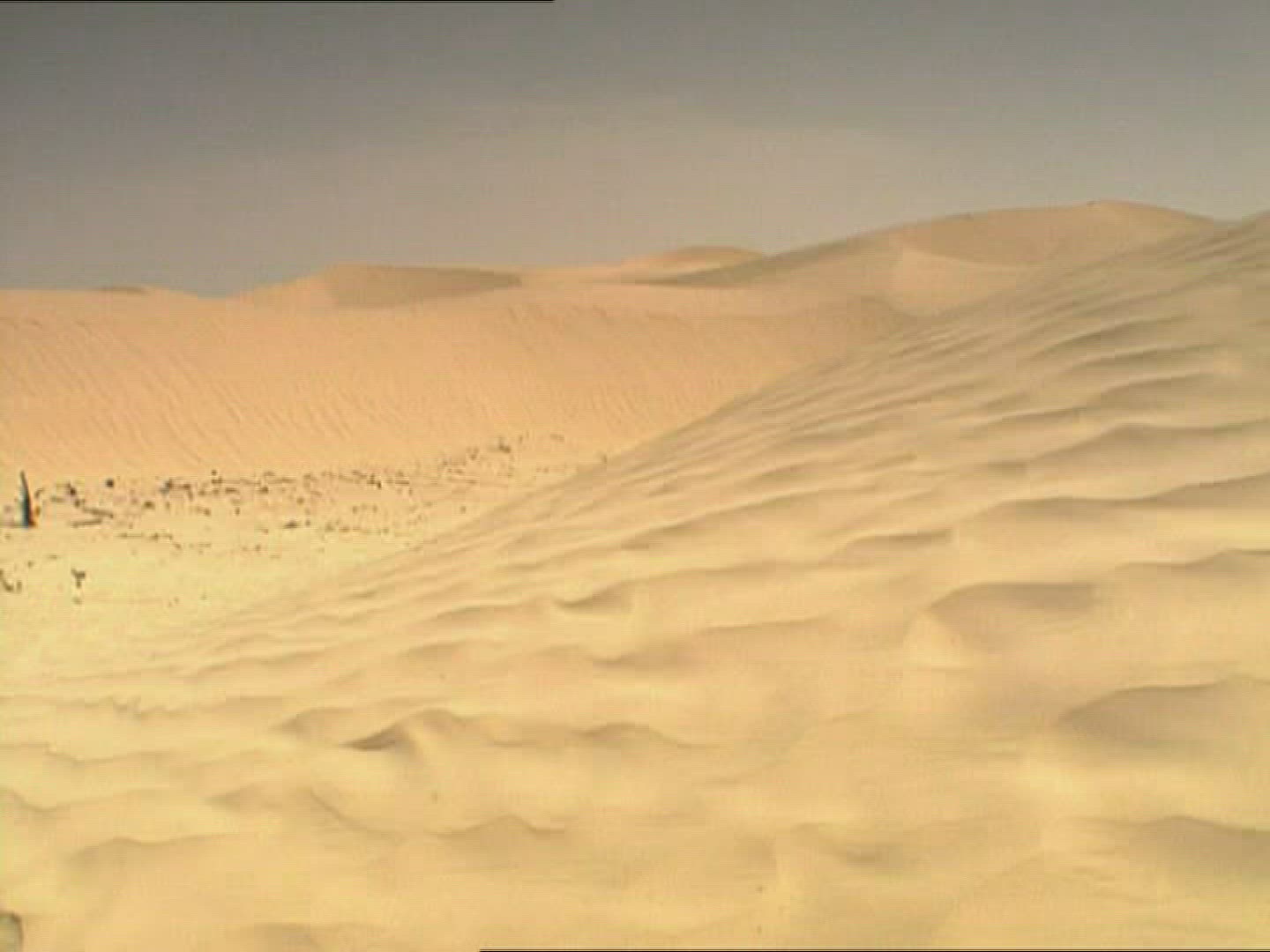 420782166 / Sandy Desert / Dune