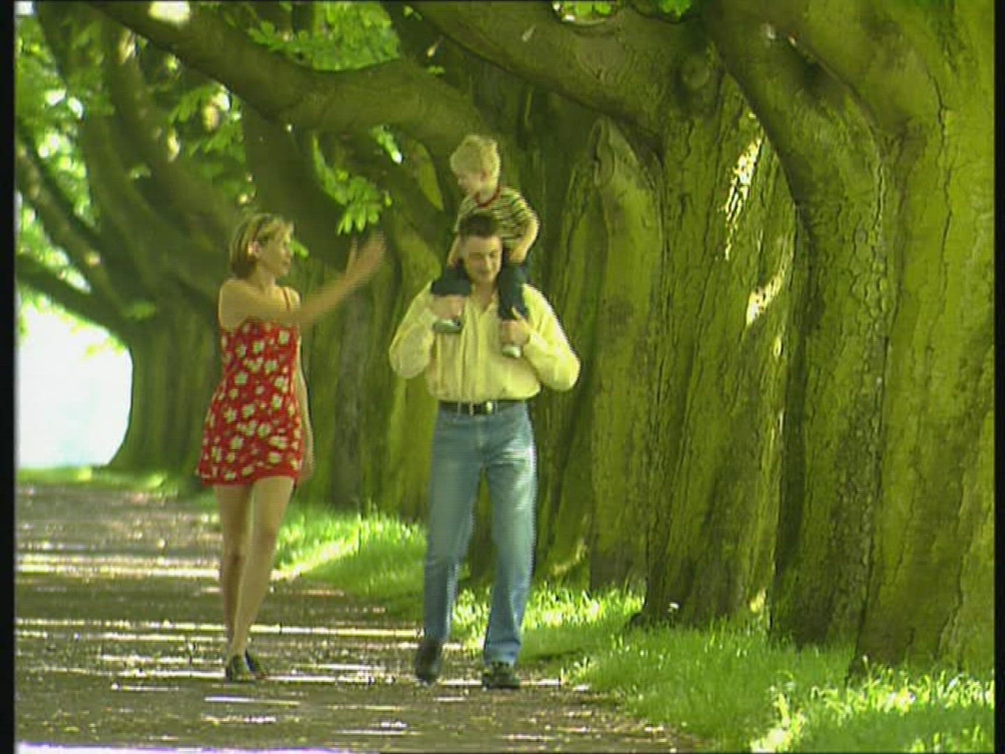 639253247 / Family / Promenade / Park