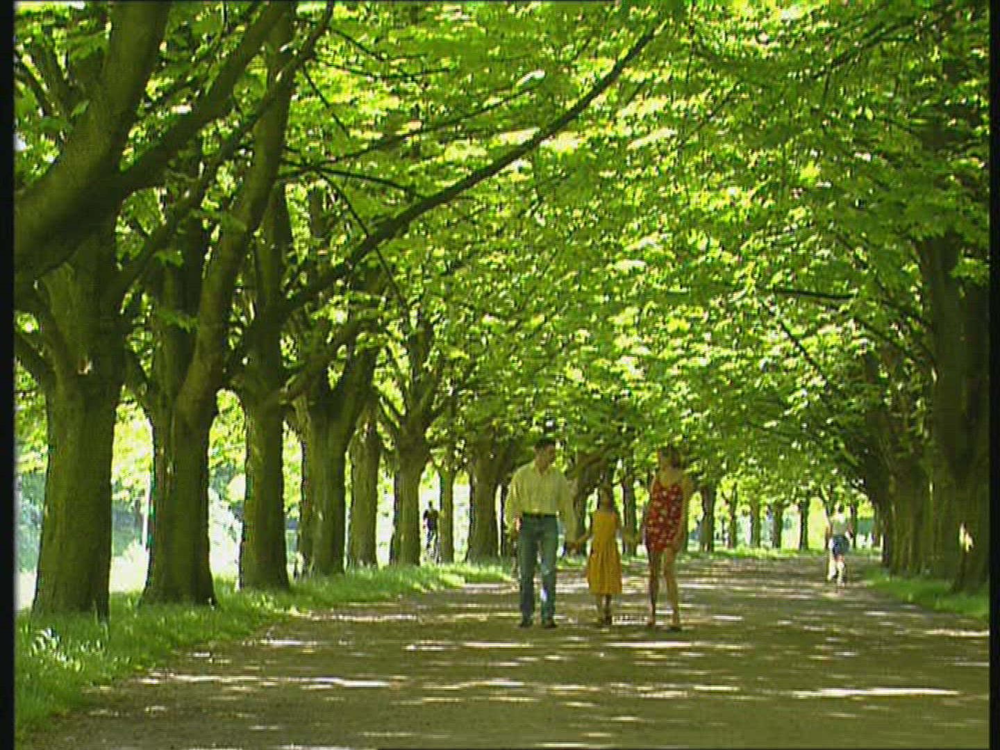 100963970 / Family / Promenade / Park